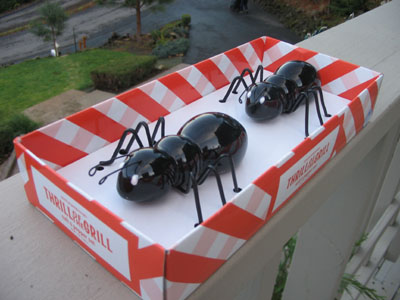 Thrill of the Grill Ant Salt and Pepper Shakers